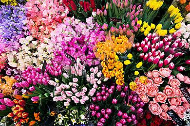 恐怖游戏《ILL》Steam页面上线 支持简体中文