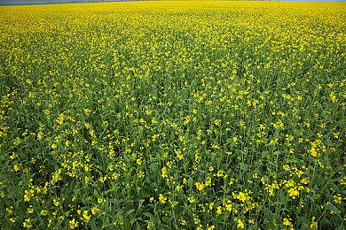 国行版《舞力全开》服务器异常 育碧致歉并发布补偿说明